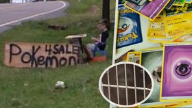 Chlapec kvůli záchraně psa prodal sbírku karet Pokémonů. Lidé mu pomohli vybrat půl milionu