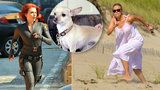 Herečka Scarlett Johanssonová supehrdinku nezapře: Po pláži naháněla »Palačinku«!