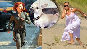 Herečka Scarlett Johanssonová supehrdinku nezapře: Po pláži naháněla… »Palačinku«!