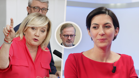 Schillerová by se podle Fialy měla omluvit za komentář k Pekarové Adamové.