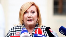 Alena Schillerová (ANO) na Hradě u Petra Pavla