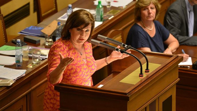 Ministryně financí Alena Schillerová (za ANO)