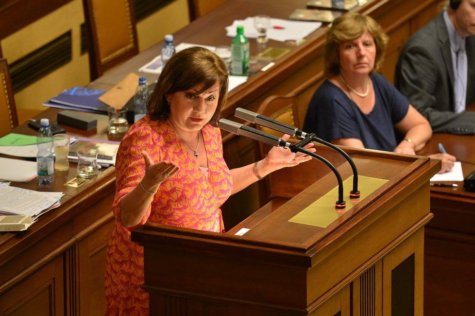 Ministryně financí Alena Schillerová (za ANO) často poslancům a poslankyním vysvětlovala jak nakládá s penězi ze státního rozpočtu. (26. 6. 2019)