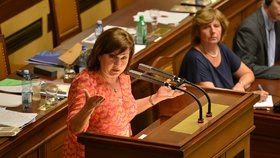 Ministryně financí Alena Schillerová (za ANO) často poslancům a poslankyním vysvětlovala jak nakládá s penězi ze státního rozpočtu. (26. 6. 2019).