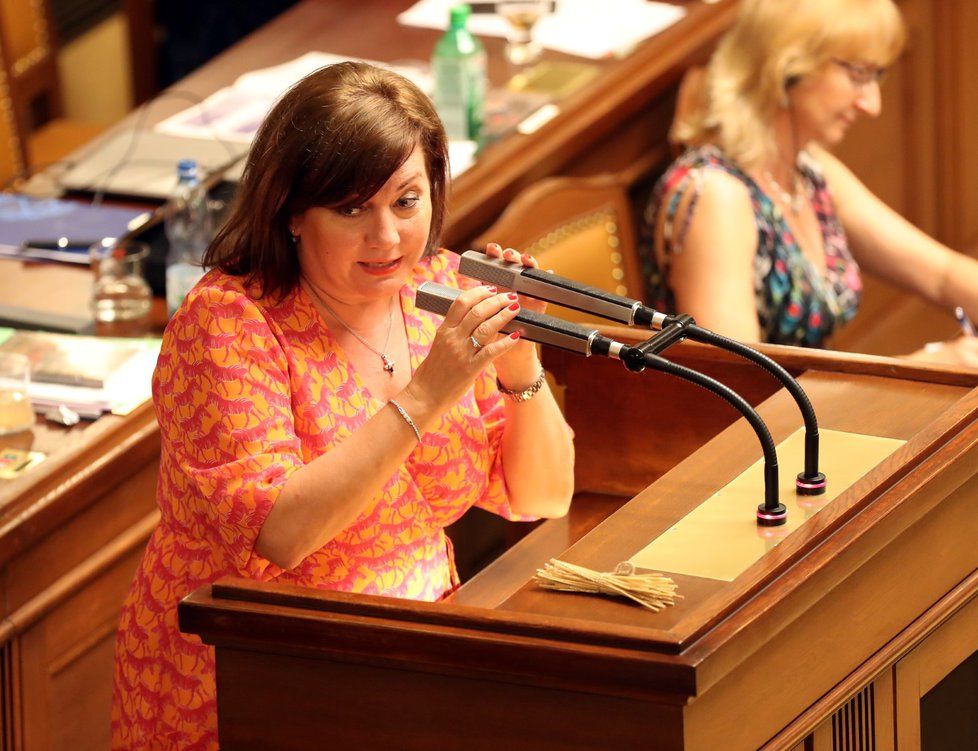 Ministryně financí Alena Schillerová (za ANO) často poslancům a poslankyním vysvětlovala jak nakládá s penězi ze státního rozpočtu. (26. 6. 2019)