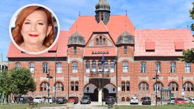 Schillerová kritizuje přebytkové hospodaření mnohých obcí.