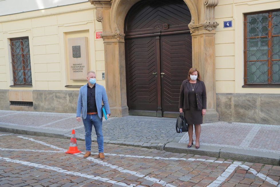 Ministryně financí a vicepremiérka Alena Schillerová své roušky s oblečením příliš neladí, na rozdíl od jiných kolegů a kolegyň ( 24. 3. 2020).