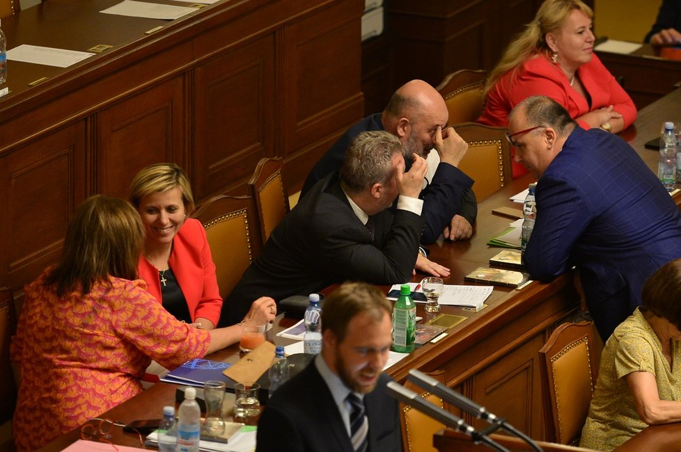 Šéfka Asociace krajů Jana Mračková Vildumetzová v jeden moment vystřídala ve vládní lavici premiéra Babiše. A to ve chvíli, kdy si povídala s ministryní financí Schillerovou. Do debaty se dostali i ministři zemědělství a životního prostředí s poslancem Birkem (26. 6. 2019)