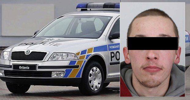 Policisté chytili nebezpečného schizofrenika: Čekal na ně v trávě u silnice.