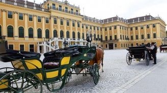 Suchar a kráska aneb Historky ze Schönbrunnu