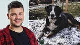 Hvězda SuperStar i Tváře Schreiner v slzách: Loučí se s věrným parťákem! Co mu vzkazuje do nebe?