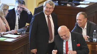 Poslanci mimořádnou schůzi k novičoku bojkotovali. Obstrukce, která nemá obdoby, řekl Rakušan