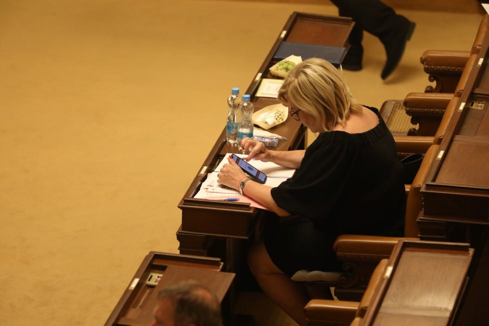 Schůze sněmovny: Hlasování o nedůvěře vlády, předsedkyně klubu ANO Alena Schillerová (1.9.2022)
