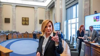 Rozpočtová rada označila deficit 310 miliard za nezákonný Rozpočtová rada označila deficit 310 miliard za nezákonný