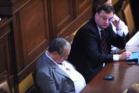 Rath ve Sněmovně: Schwarzenberg spí, probudila ho SMS