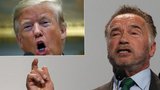 Drsný Schwarzenegger: „Trump je mešuge,“ zaútočil „Terminátor“ na prezidenta