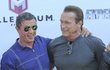 Stallone a Schwarzenegger jsou v poslední době velcí kámoši.