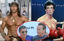 Veteráni Stallone (68) a Schwarzenegger (67) míří do ringu: Dědci si chtějí vymlátit zubní protézy!