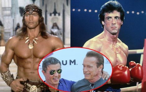 Veteráni Stallone a Schwarzenegger se chtějí utkat mezi provazy.