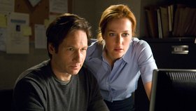 Agentka Scullyová: Rybí akta X