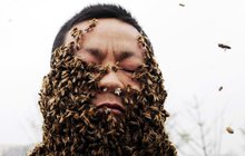 Bzzz, 33 kg bzučících kamarádek: Oblékli byste si včelí kabát?