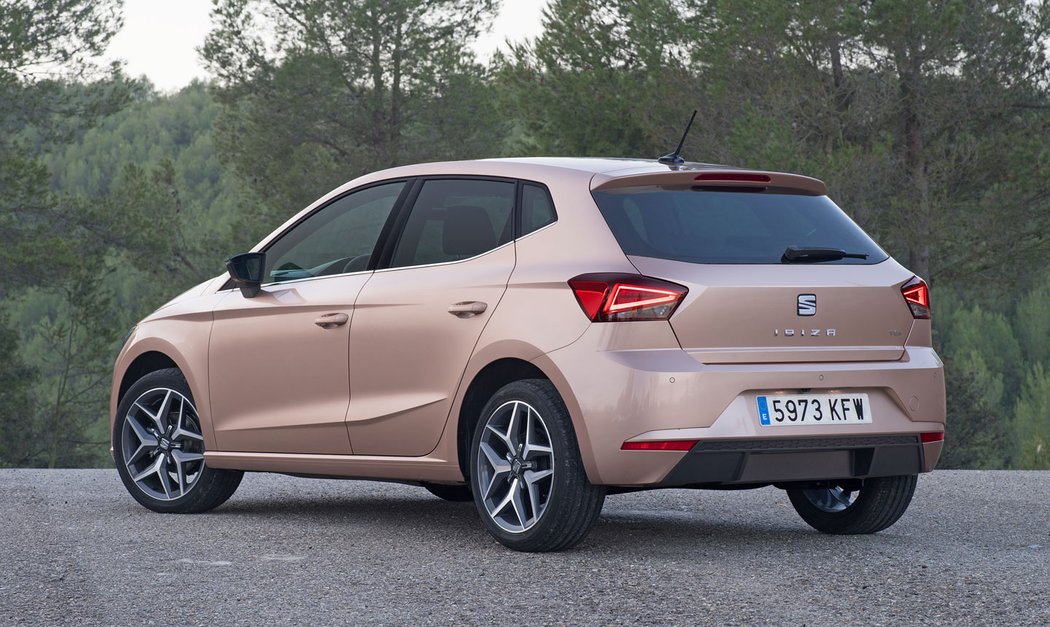 Seat Ibiza TGI