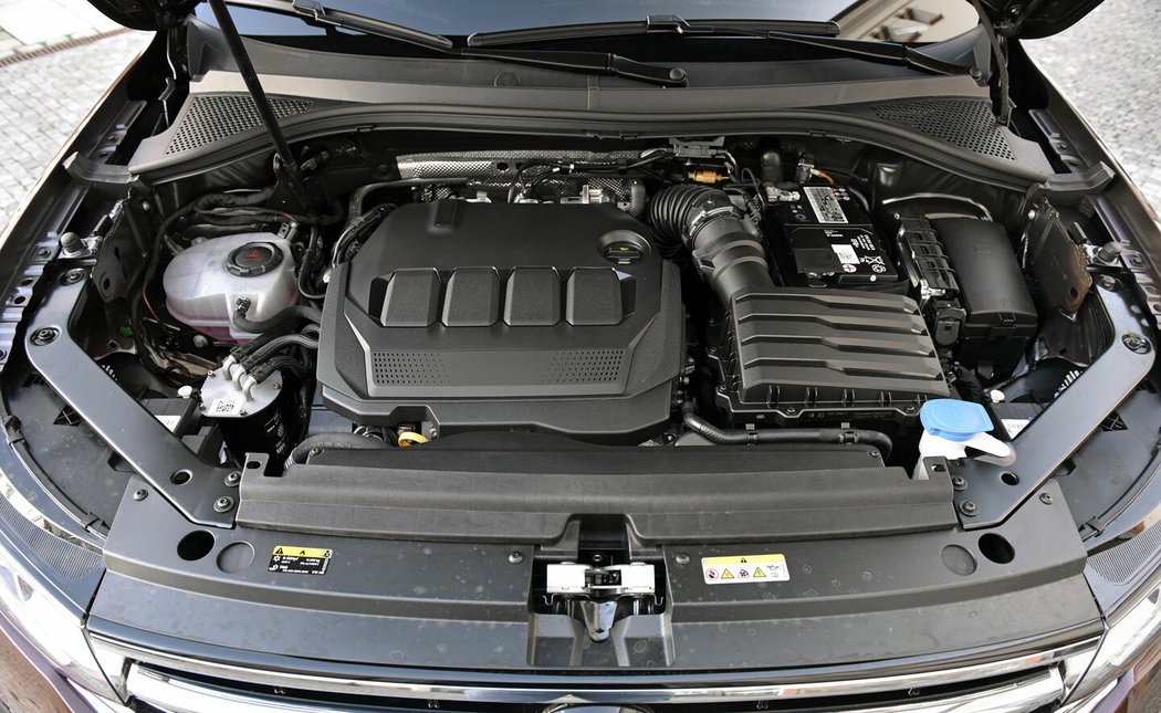 U motorů TDI Evo se velmi hodí pětiletá záruka. Když vás budou zlobit, nebo spotřebovávat olej, před jejím koncem pryč s nimi.