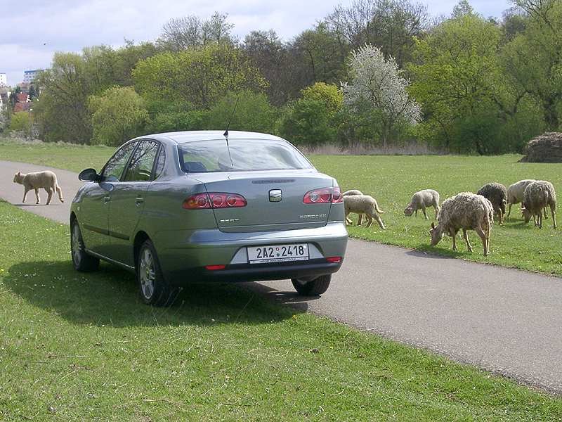 Seat Cordoba