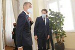 Premiér Andrej Babiš (ANO) ve Vídni jednal s kolegy Sebastianem Kurzem a Igorem Matovičem.
