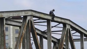 Mladý muž (28) chtěl skokem z mostu do Svitavy vyřešit své životní problémy. Strážník mu sebevraždu rozmluvil.