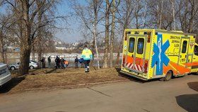 Na náklaďák na Českolipsku spadl strom: Řidič v kabině zemřel. (ilustrační foto)