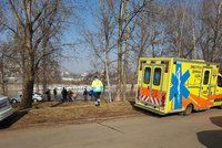 Na náklaďák na Českolipsku spadl strom: Řidič v kabině zemřel