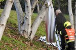 Žena se oběsila na stromě v Čakovicích. Police případ vyšetřuje