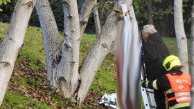 Žena se oběsila na stromě v Čakovicích. Police případ vyšetřuje
