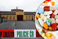 Dvě sebevraždy v plzeňské věznici: Jeden mukl zemřel na předávkování, druhý se chtěl oběsit!