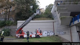 ...záchranář se ženou začal mluvit. Podařilo se mu sebevražedkyni od skoku odradit...