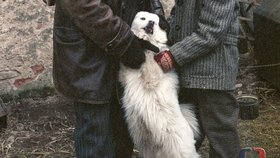 Jan Kalous ve filmu malá podmínka štěstí