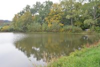 Záhadná sebevražda dívky v Jihlavě: Vstoupila do rybníka a voda se za ní zavřela, popsal svědek