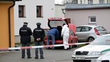 Další vražda v jižních Čechách: Mrtvého muže a ženu v domě objevili příbuzní