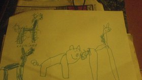 "Lucinka namalovala podobný obrázek jako u logopedky," napsala k fotce maminka a vysvětlila: "Táta prasátko, Lucka kůň, já koza a Karolínka ovečka - prostě zvířátka ze statku."