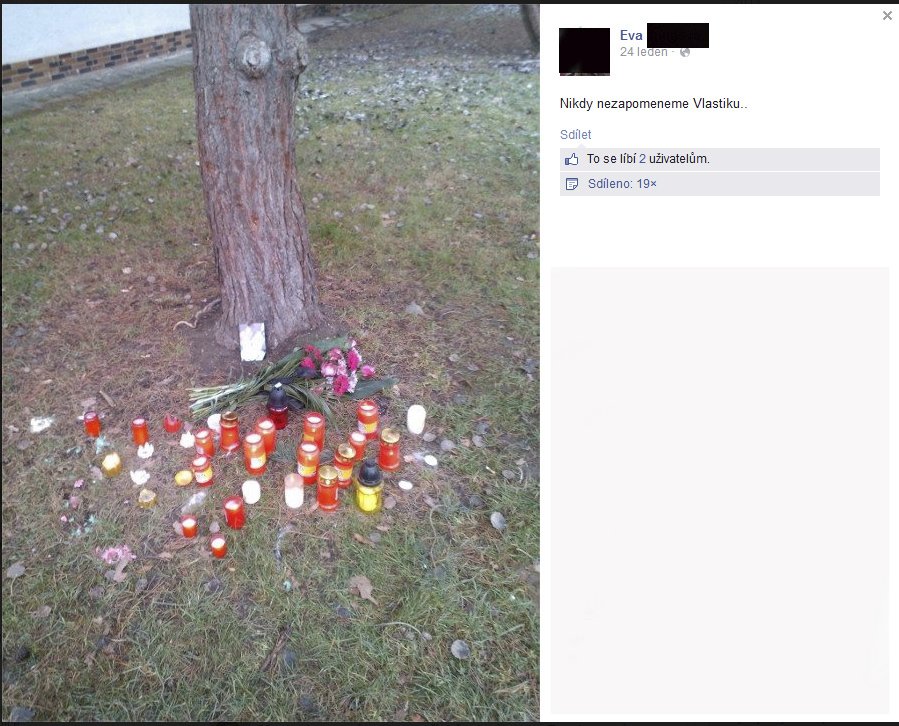 Sestra paní Marty zveřejnila na Facebooku fotografii stromu, pod nějž lidé nosí panu Vlastimilovi svíčky. Zřejmě právě na něm se muž oběsil.