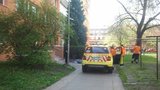 Hyena z Prahy: Ubil vlastního dědečka k smrti!