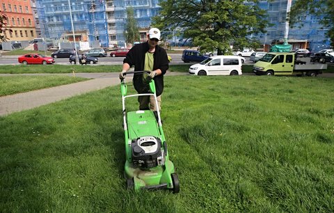 Kdy je lepší džungle a kdy anglický trávník? Praha se připravuje na letní sečení