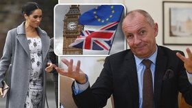 Brexit vs. porod Meghan. Britové mají podle českého velvyslance v Londýně zájem o obojí. Rozhodne se už brzy