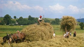 Na vesničany pozor! Dali výprask i francouzským tajným agentům