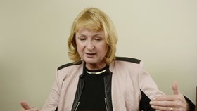 Nezávislá senátorka Jitka Seitlová upozorňuje na znění novely zákona.
