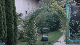 Sekačka amputovala chlapci (2) ručičku!