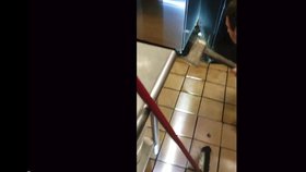 Zaměstnanec floridské restaurace natočil, jak místní kuchař seká pomocí sekery krysám hlavy.