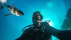 Focení selfie je nebezpečnější než žraloci. Lidé při něm neuvěřitelně riskují.