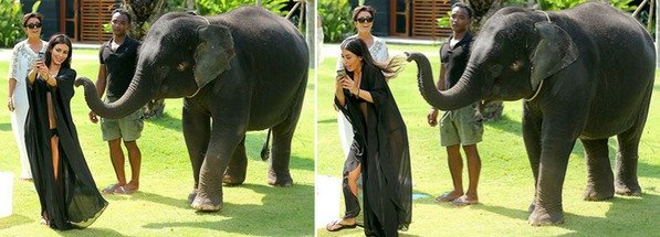 Nejaktivnější autorkou selfie je Kim Kardashian (34), která o nich vydá i knihu. Při pořizování autoportrétu v Thajsku na ni málem zaútočil slon.